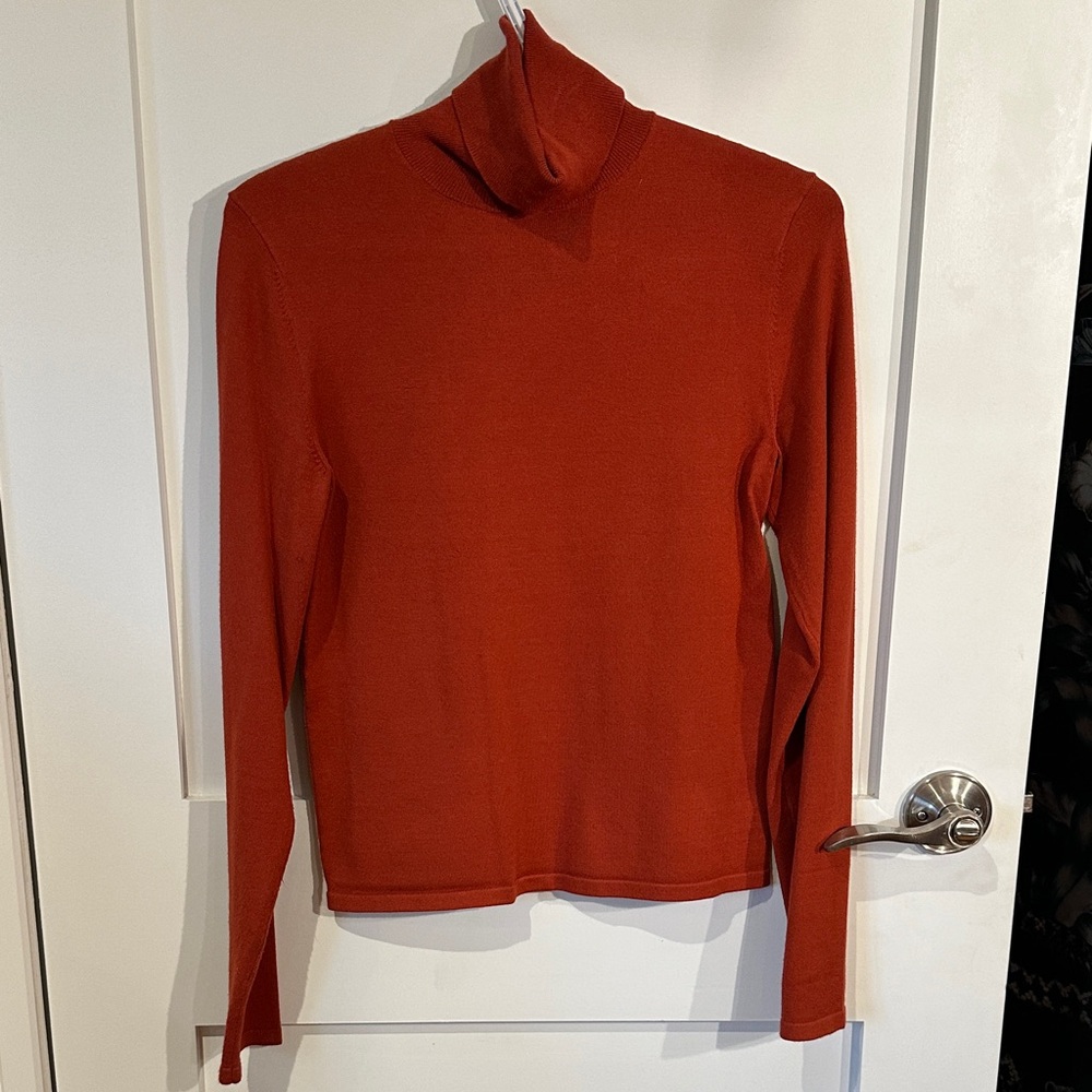 Aritzia Women's burnt orange turtleneck